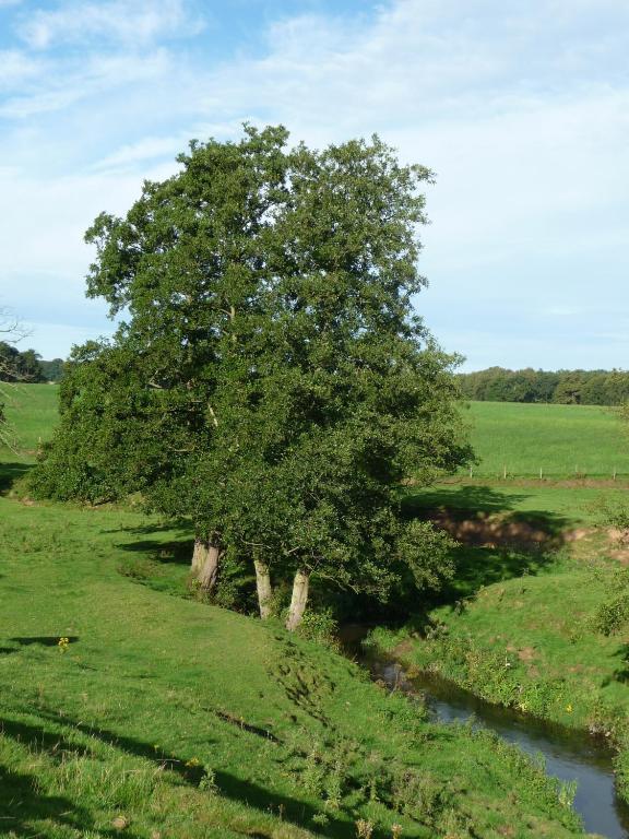 Birtles Farm Bed And Breakfast Knutsford Bagian luar foto